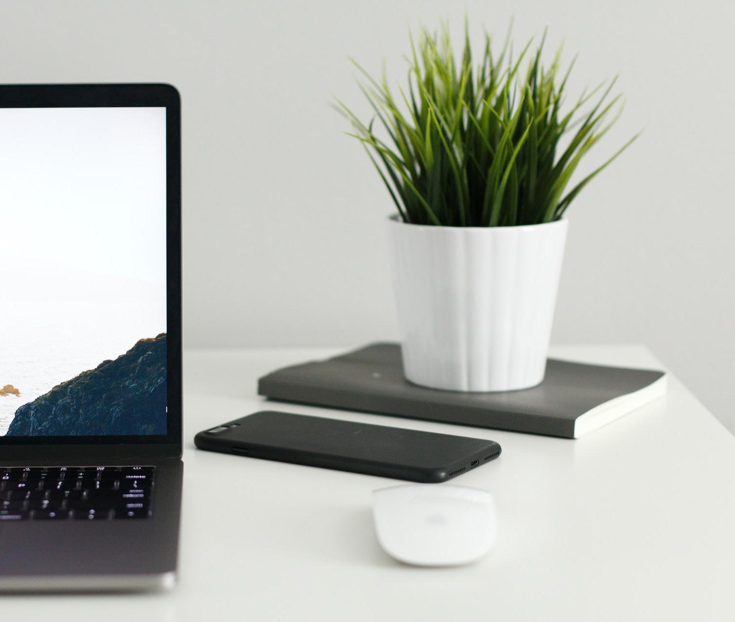 MacBook near green potted plant on table